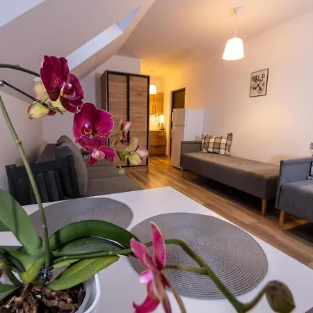 Pogodnewczasy W Jantarze