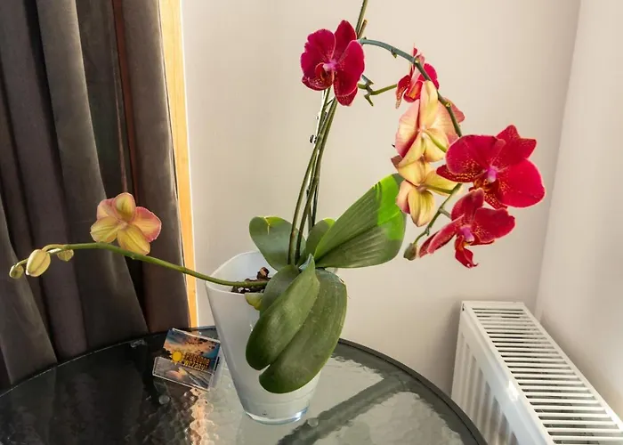 Pogodnewczasy W Jantarze Jantar